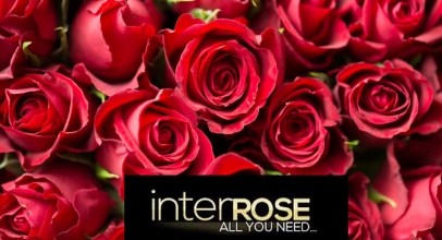 DISCOUNT AT INTERROSE