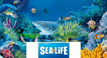 UP TO 35% DISCOUNT ON SEALIFE TICKETS