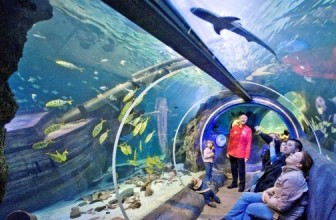 UP TO 40% DISCOUNT ON SEALIFE TICKETS