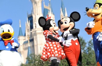 DISCOUNT ON DISNEY WORLD HOLIDAY