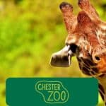 chester zoo police discount