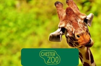 chester zoo police discount