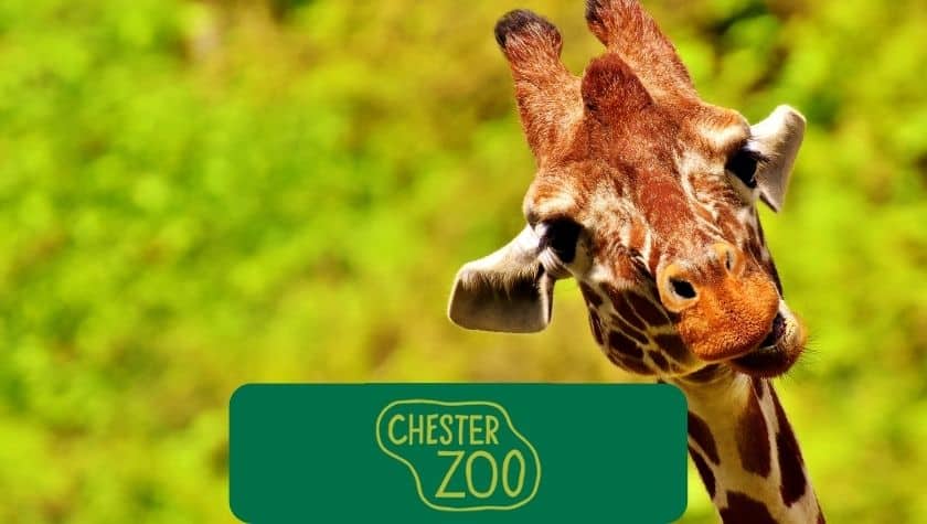chester zoo police discount