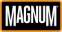 25% Discount on Magnum Boots